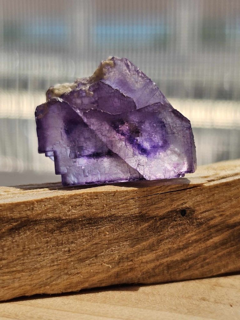 Date W/ Purple Fluorite - Studio Selyn