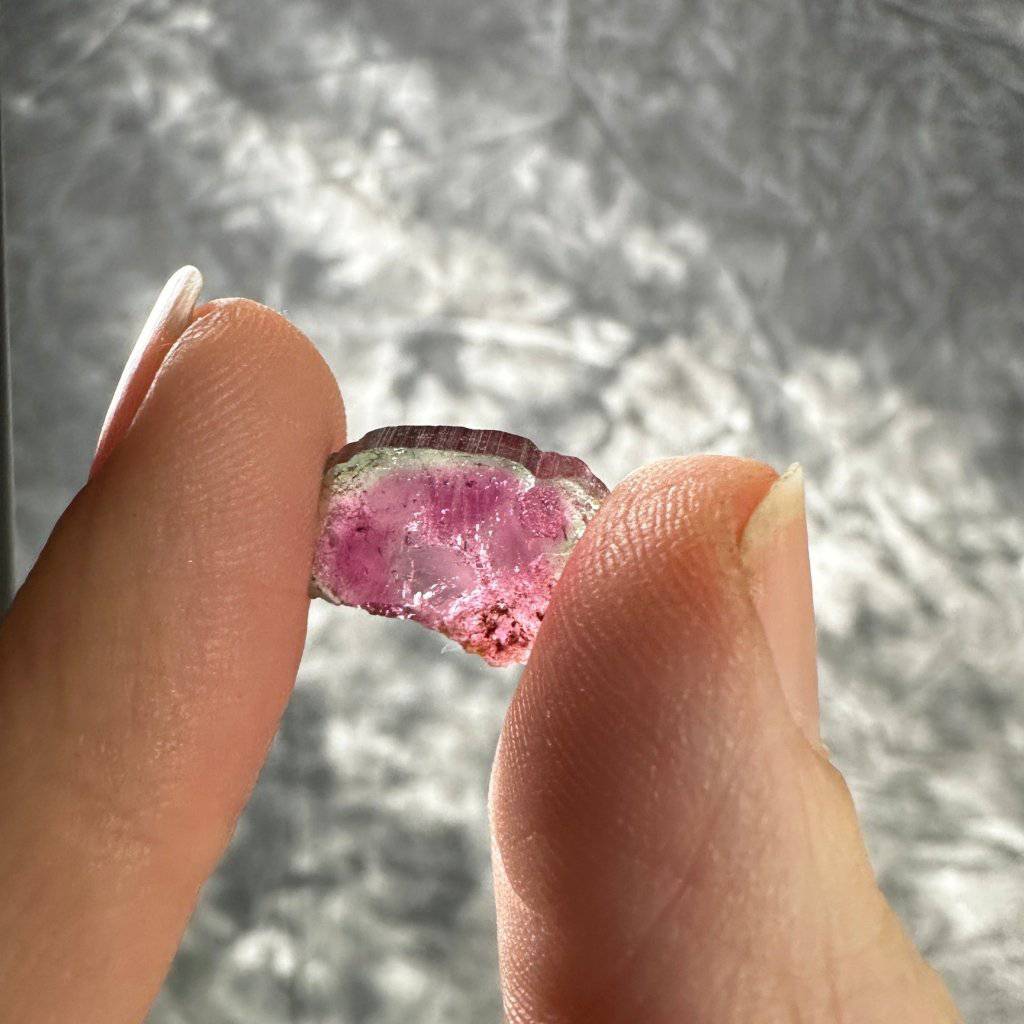 Watermelon Tourmaline Crystal #275 - Studio Selyn